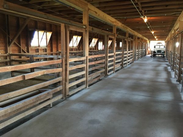 Barn Floor Pouring in Bullhead City