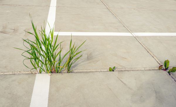 Concrete Parking Installation in Bullhead City