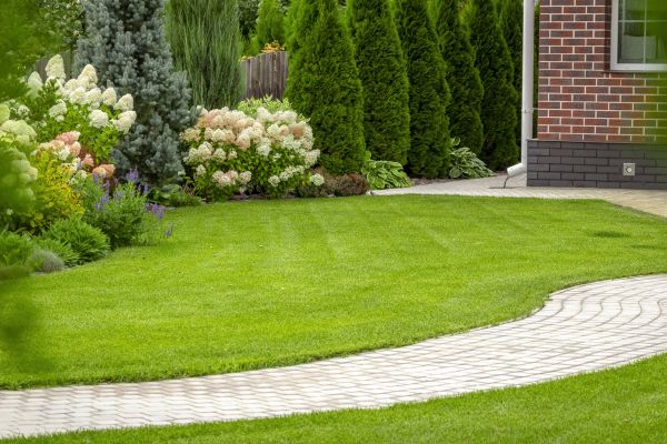 Landscape Walkway Installation in Bullhead City